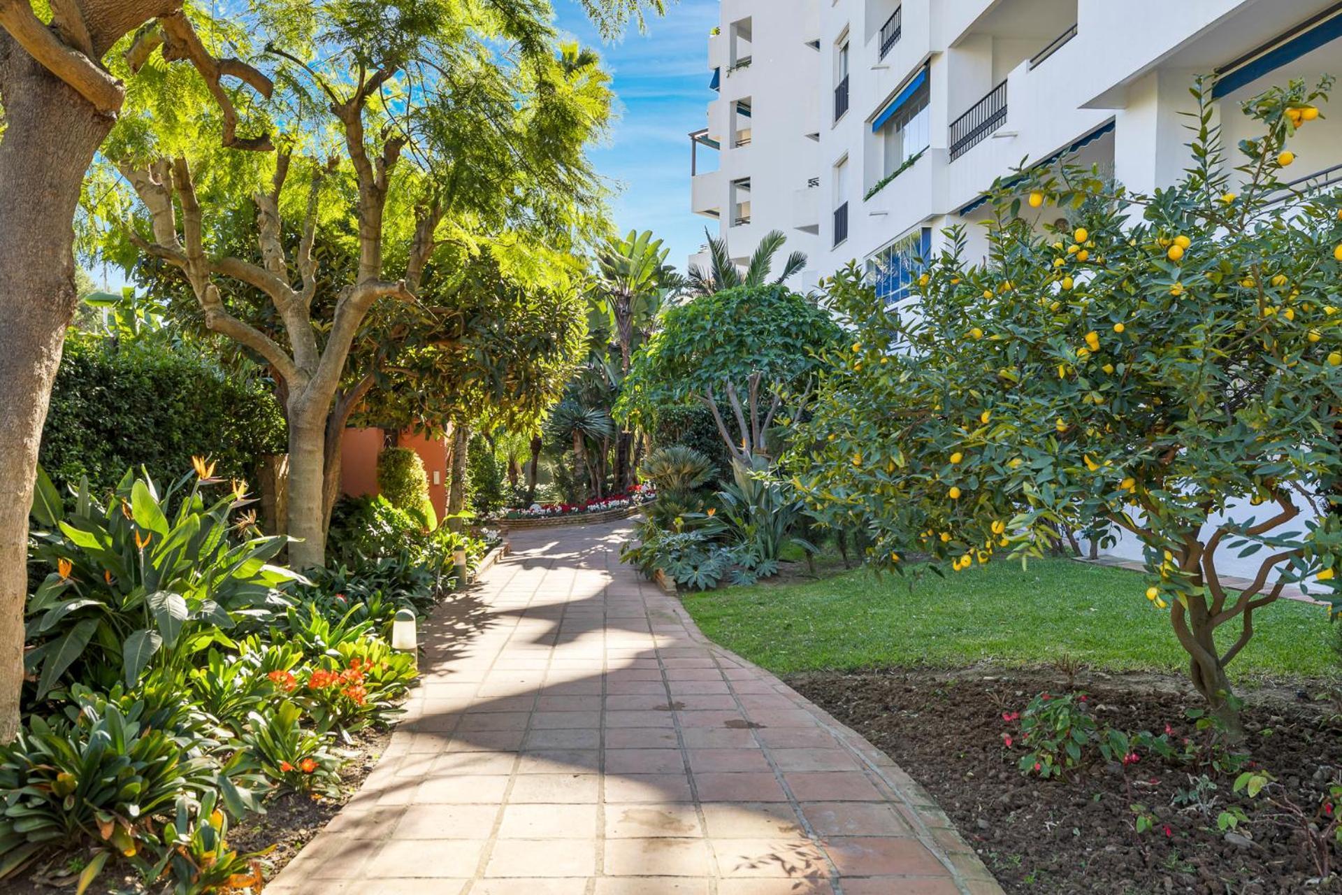 2 Bedroom In Medina Garden *